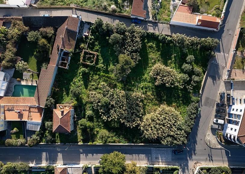 Land in Sintra — photograph 2