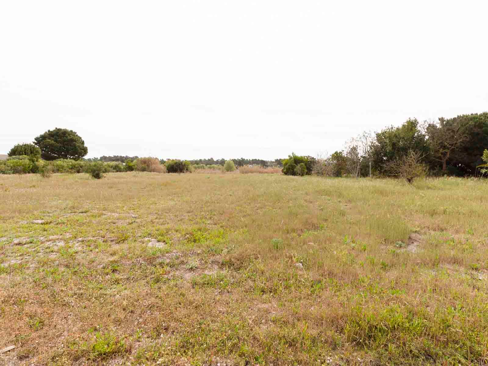 Land in Alcácer do Sal — photograph 2