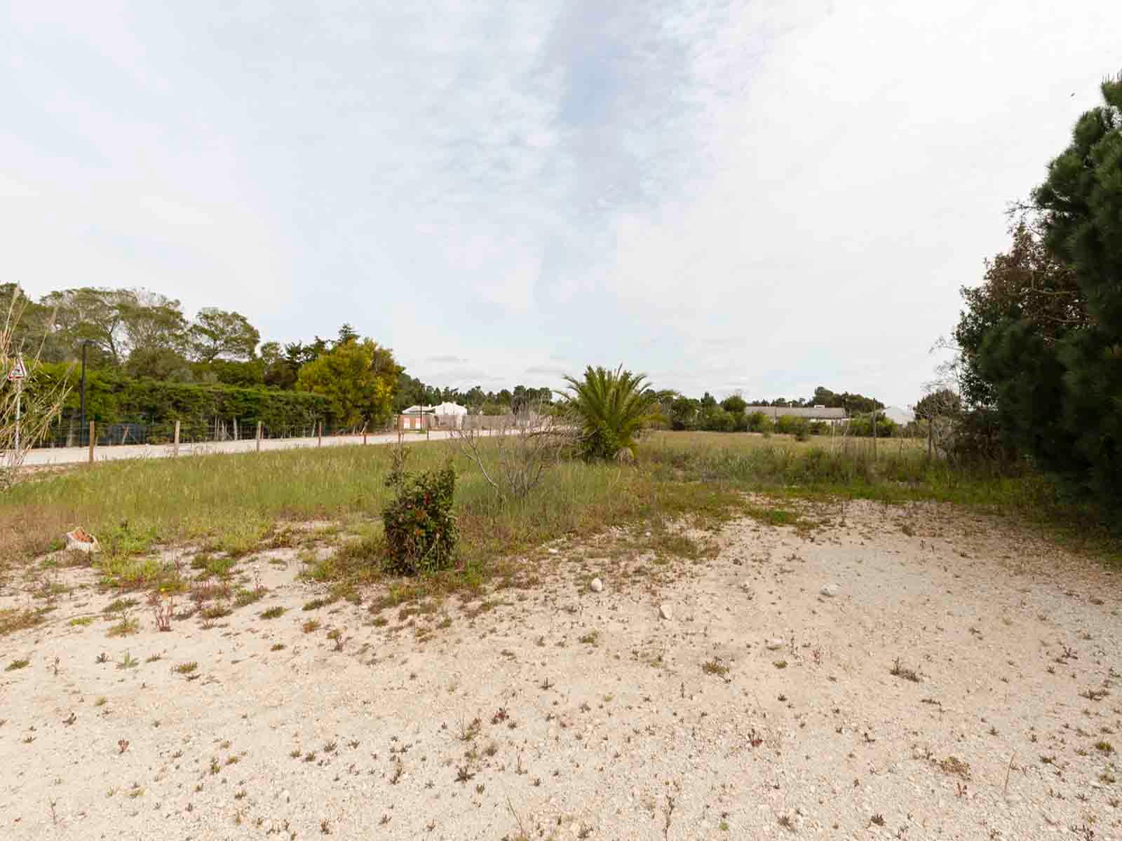 Land in Alcácer do Sal — photograph 3