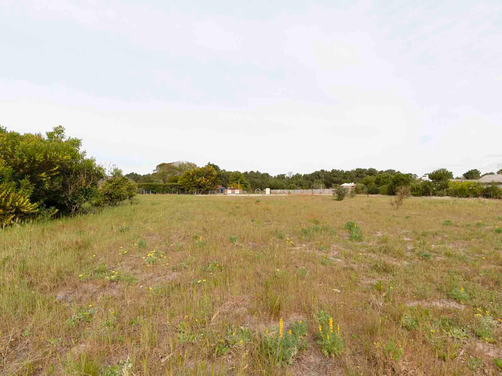 Land in Alcácer do Sal — photograph 4