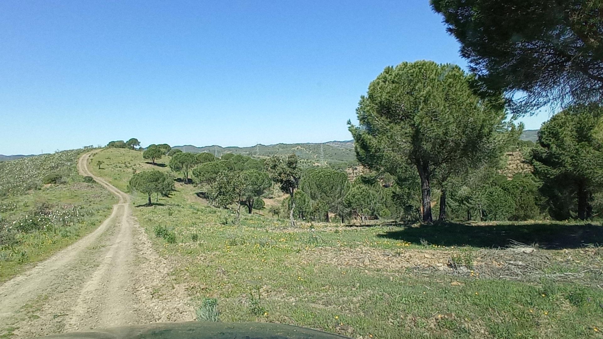 Country Estate in Santana, Silves — photograph 4