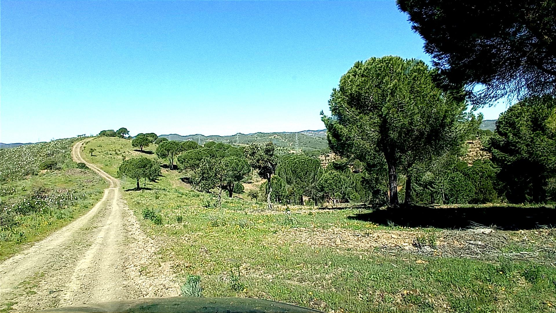Country Estate in Santana, Silves — photograph 5