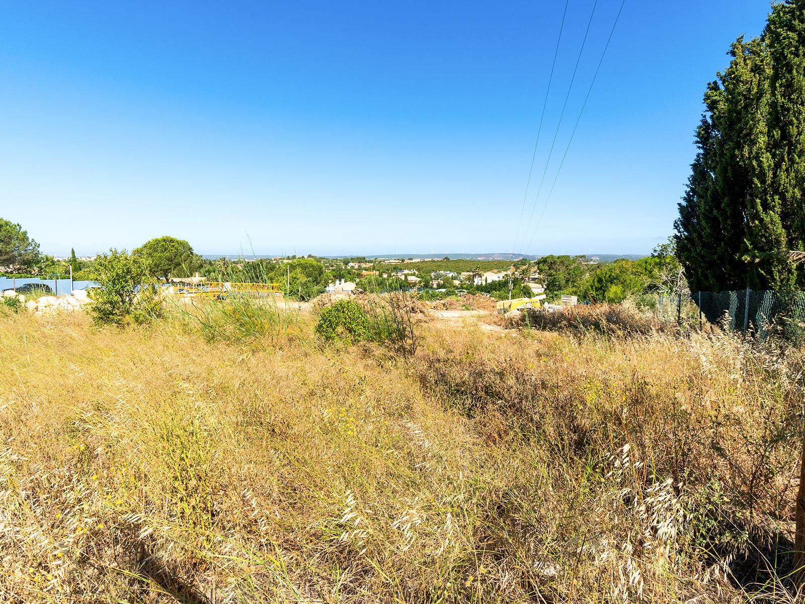 Land in Lagos — photograph 4
