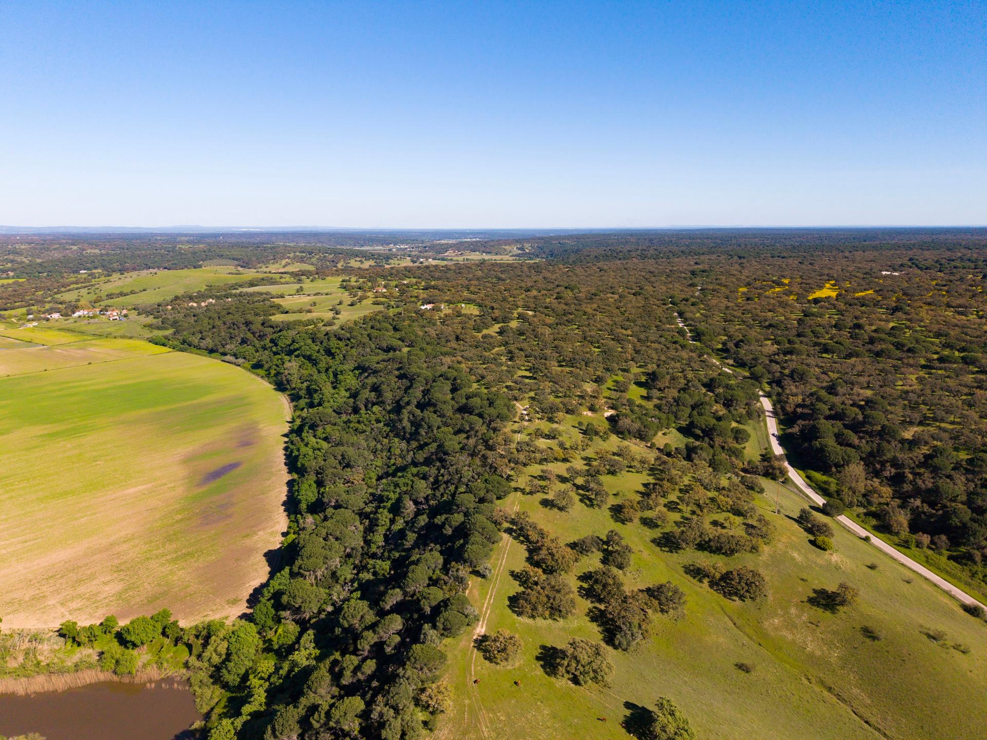 Land in Alcácer do Sal — photograph 2