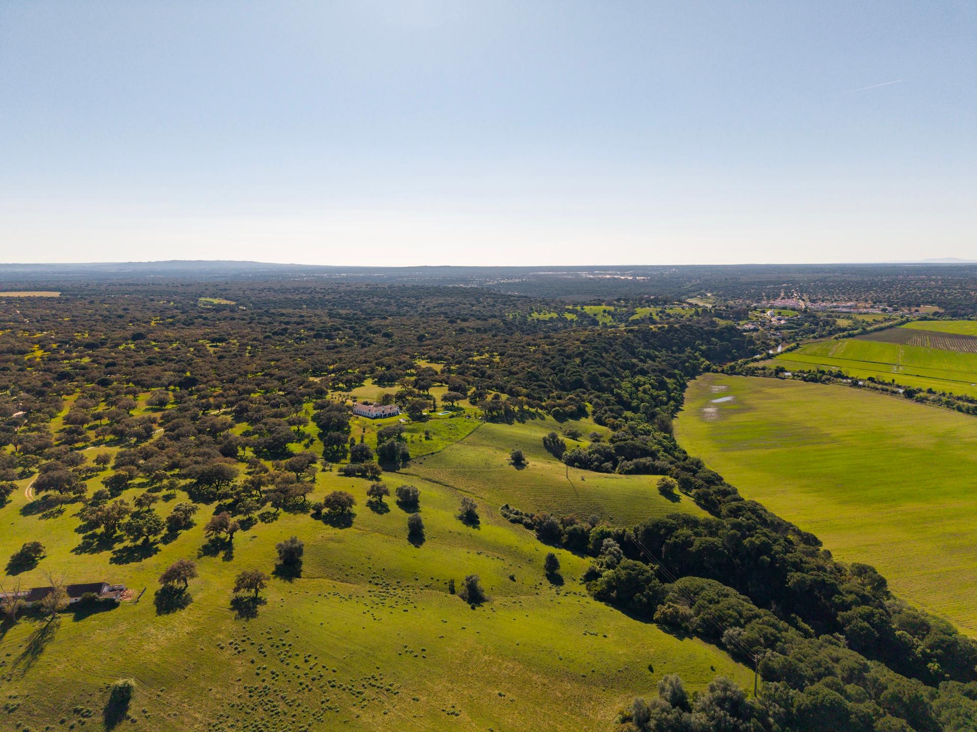 Land in Alcácer do Sal — photograph 3