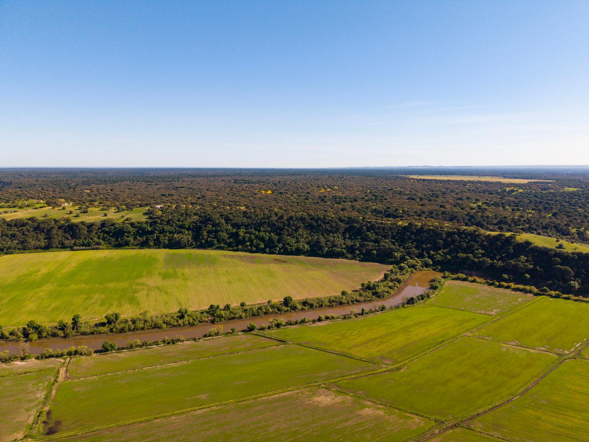 Land in Alcácer do Sal — photograph 4