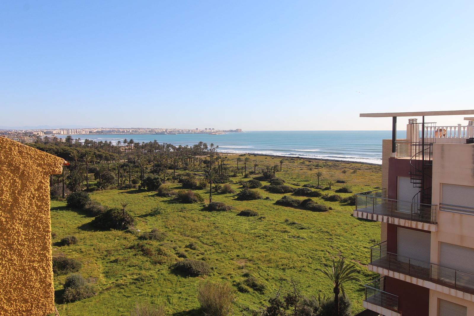 Apartments in Punta Prima, Orihuela — photograph 4