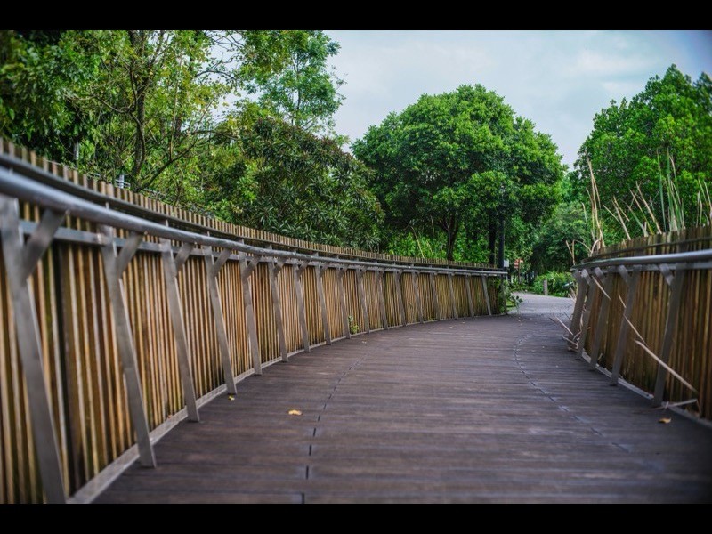 Bukit Timah / Holland Village