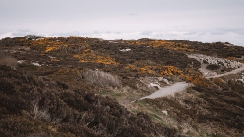 Ireland Investor Guide