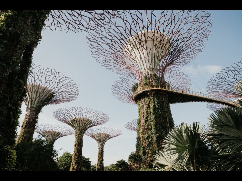 Bidadari / Woodleigh